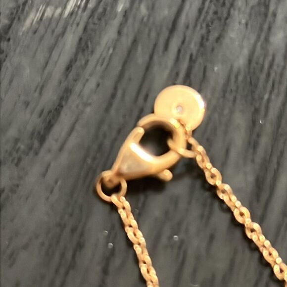 Skagen Rose Gold Pendant - Picture 3 of 4